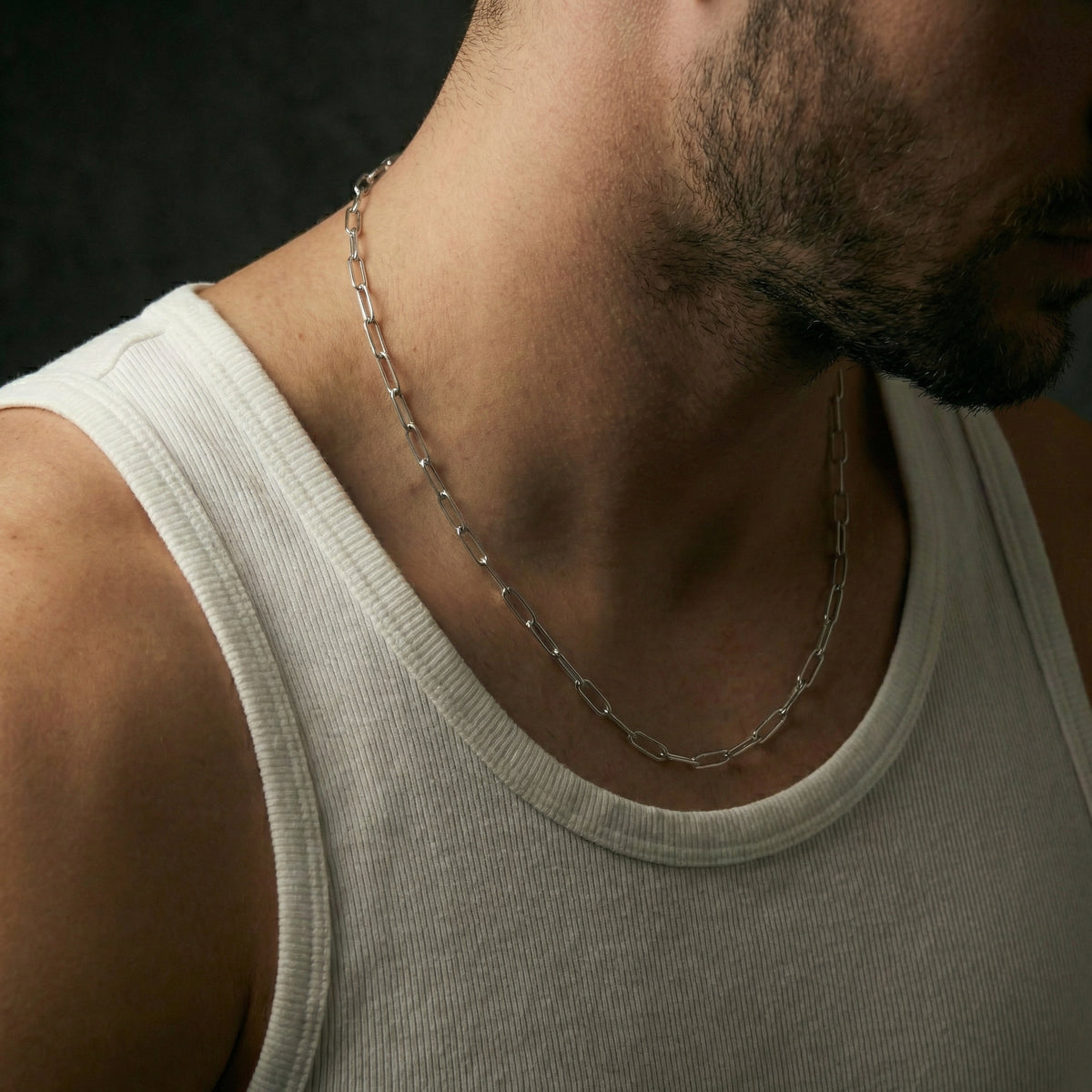 Paperclip Chain 4mm - Silver